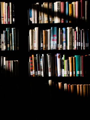 Muss die Politikwissenschaft stärker das Licht der Öffentlichkeit suchen? Bild: StockSnap/ Pixabay.